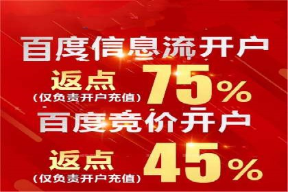 百度竞价包年策略：成功案例解析与经验分享